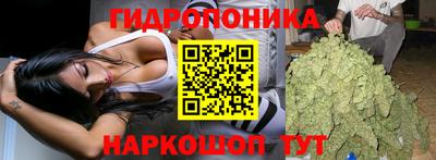 марки lsd Лесосибирск