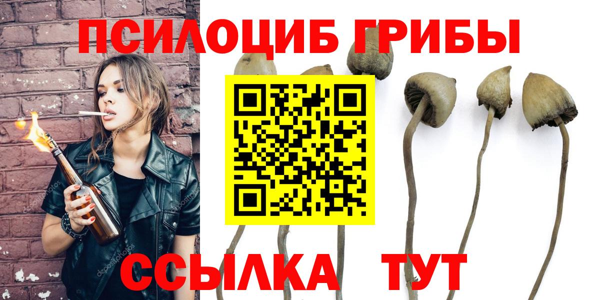 Псилоцибиновые грибы GOLDEN TEACHER  Вход с VPN  Псилоцибиновые грибы прущие грибы  Сокол 